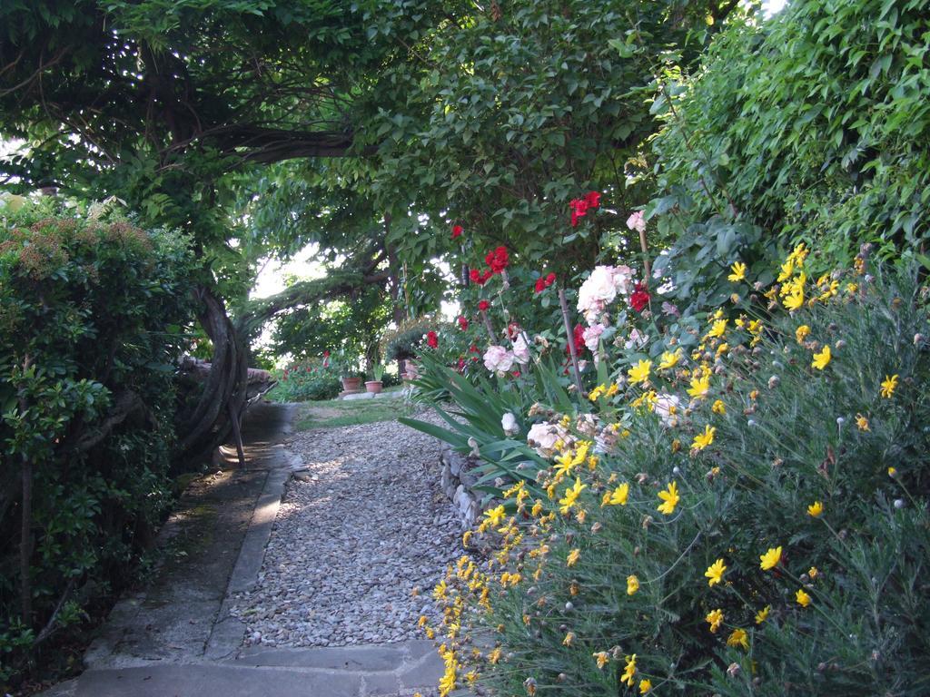 Villa Nobili B&B Баньо-а-Риполи Экстерьер фото